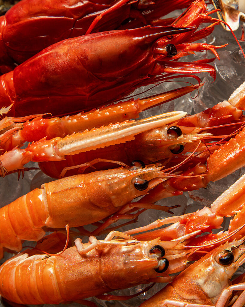 Безлімітний SEAFOOD BRUNCH